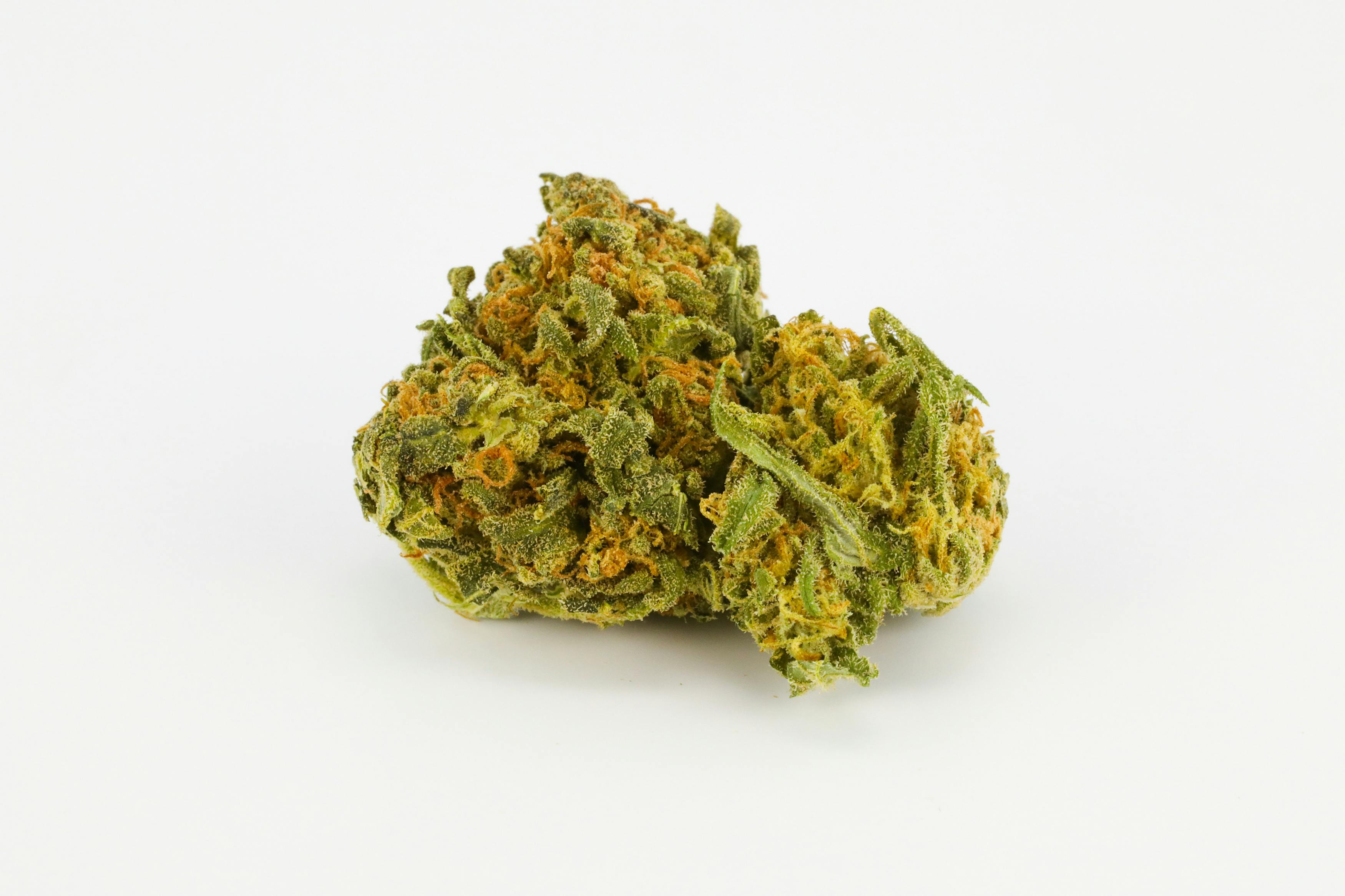 Phantom Cookies Weed; Phantom Cookies Cannabis Strain; Phantom Cookies Hybrid Marijuana Strain