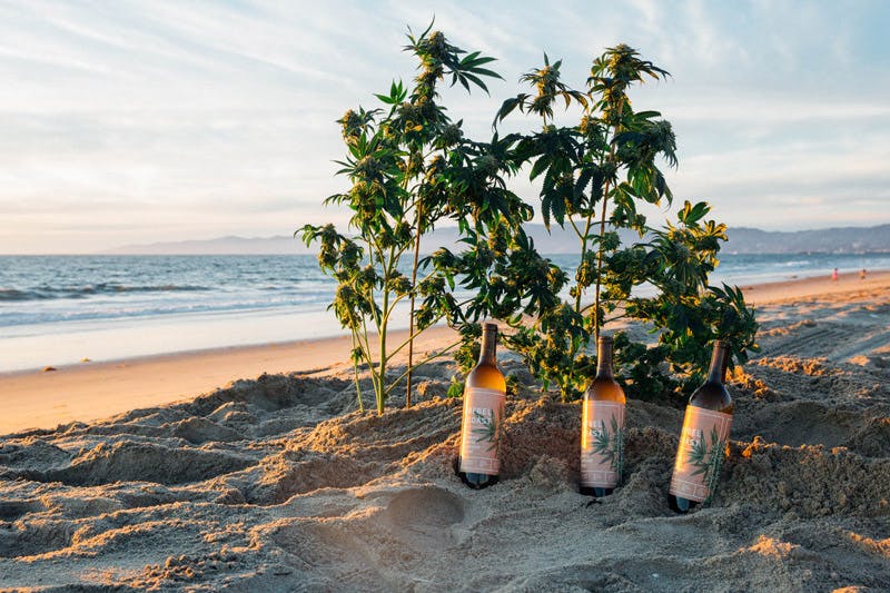 3 bottles beach home v1 Introducing Alcohol Free, Cannabis Infused Wine for the Worlds Classiest High