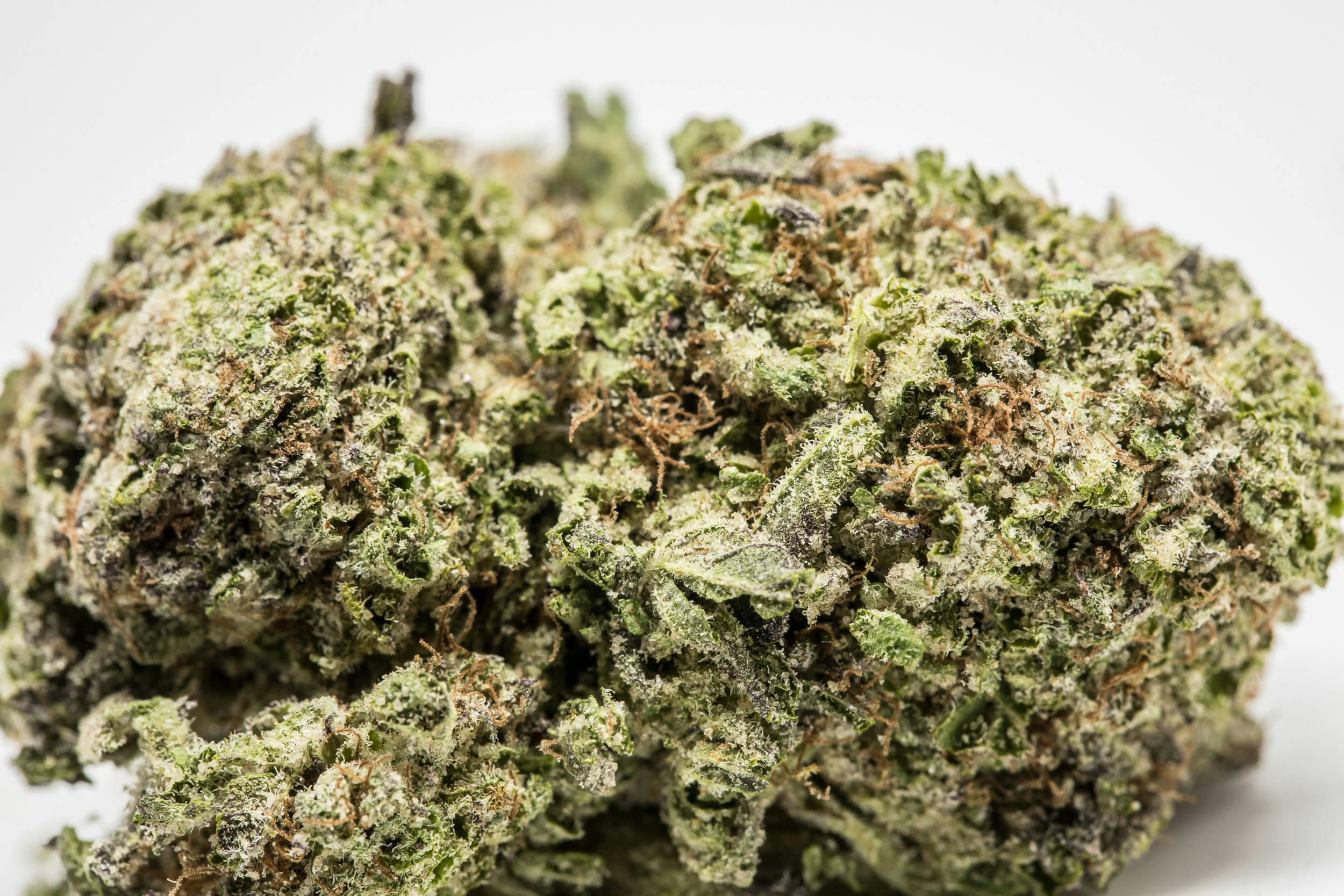 Orange Cookies Strain of Marijuana | Weed | Cannabis | Herb | Herb