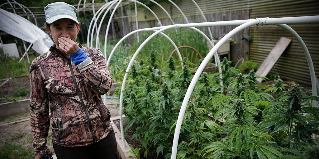 Woman walking through her Cannabis Farm