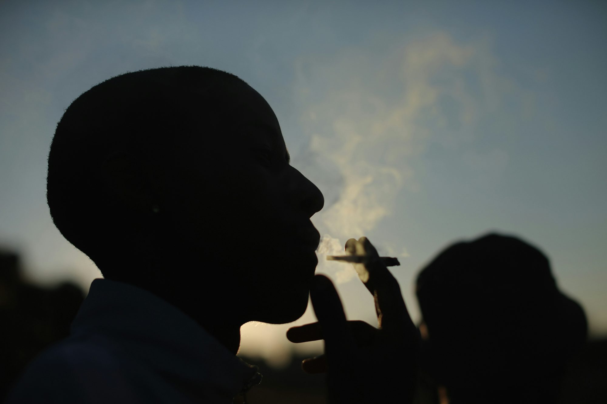 Marijuana is a new cash crop in the Democratic Republic of Congo 1 of 3 Marijuana is a new cash crop in the Democratic Republic of Congo
