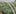 Post3 How to use weed for jamming and listening to music