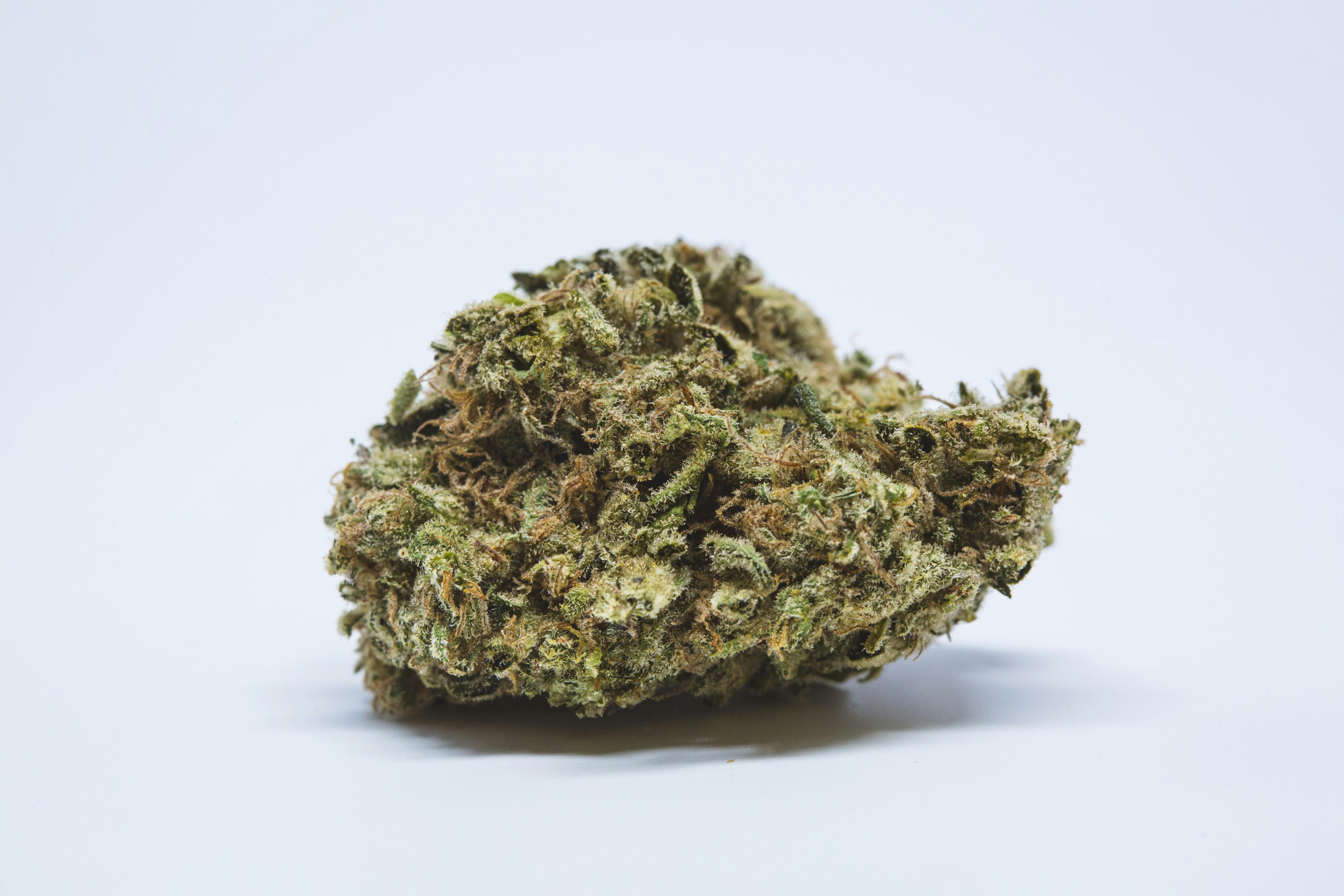 Yabba Dabba Goo Weed; Yabba Dabba Goo Cannabis Strain; Yabba Dabba Goo Hybrid Marijuana Strain