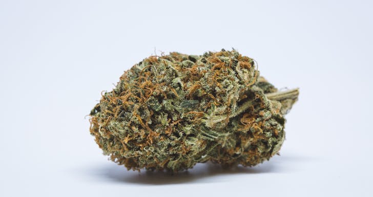 Mango Haze Weed; Mango Haze Cannabis Strain; Mango Haze Hybrid Marijuana Strain