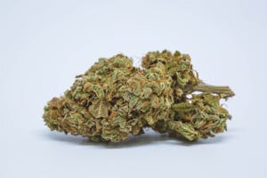 Mean Green Marijuana Strain