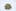 Phishhead OG Weed; Phishhead OG Cannabis Strain; Phishhead OG Hybrid Marijuana Strain