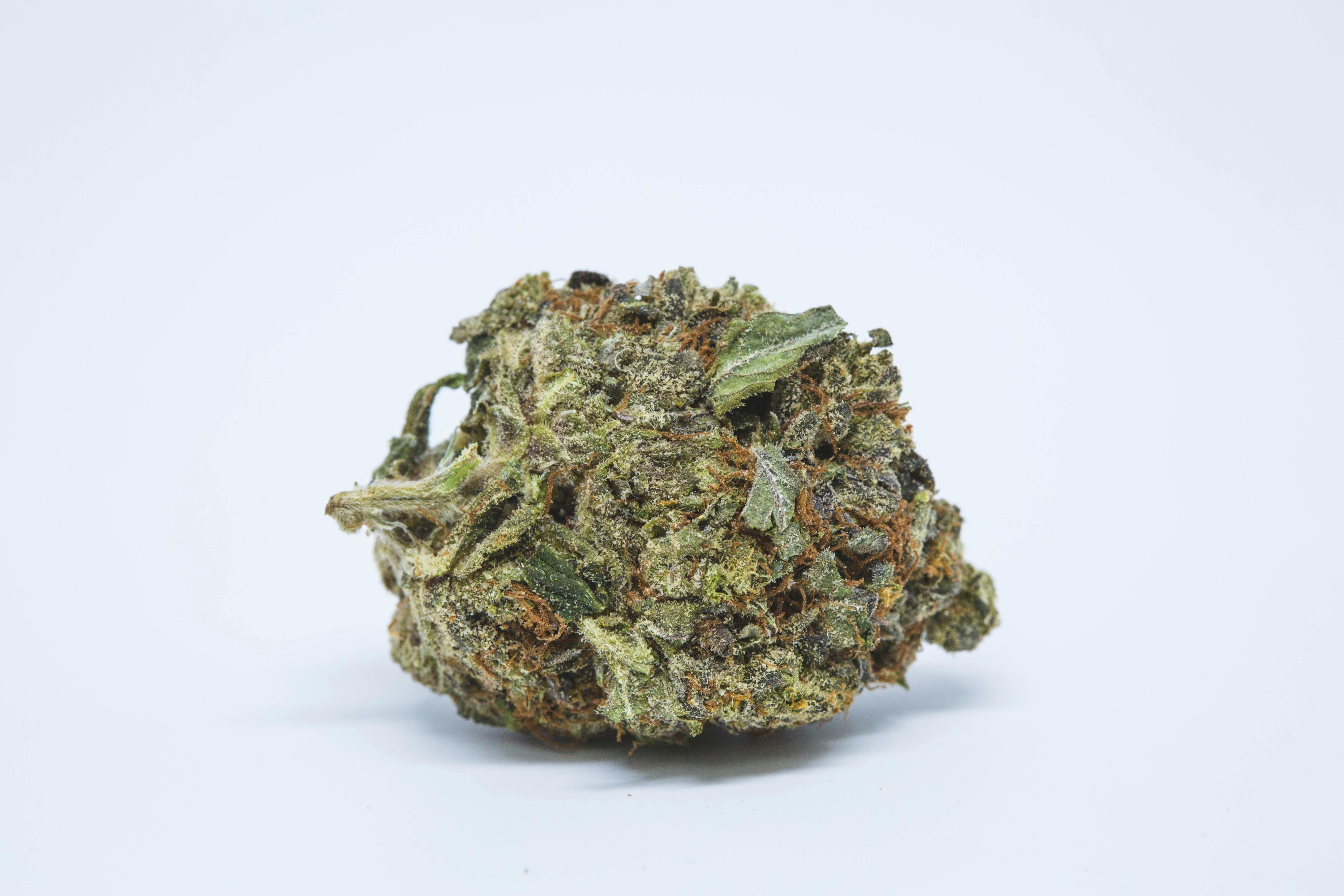 Phishhead OG Weed; Phishhead OG Cannabis Strain; Phishhead OG Hybrid Marijuana Strain