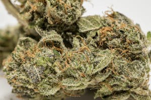 White Lightning Marijuana Strain