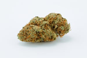 White Queen Marijuana Strain