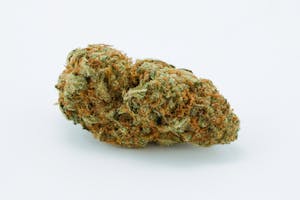 Humboldt Snow Marijuana Strain