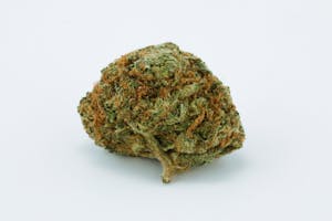 Boss OG Marijuana Strain