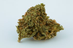 Black Domina Marijuana Strain