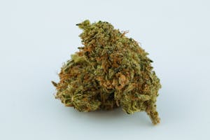 Black Widow Marijuana Strain