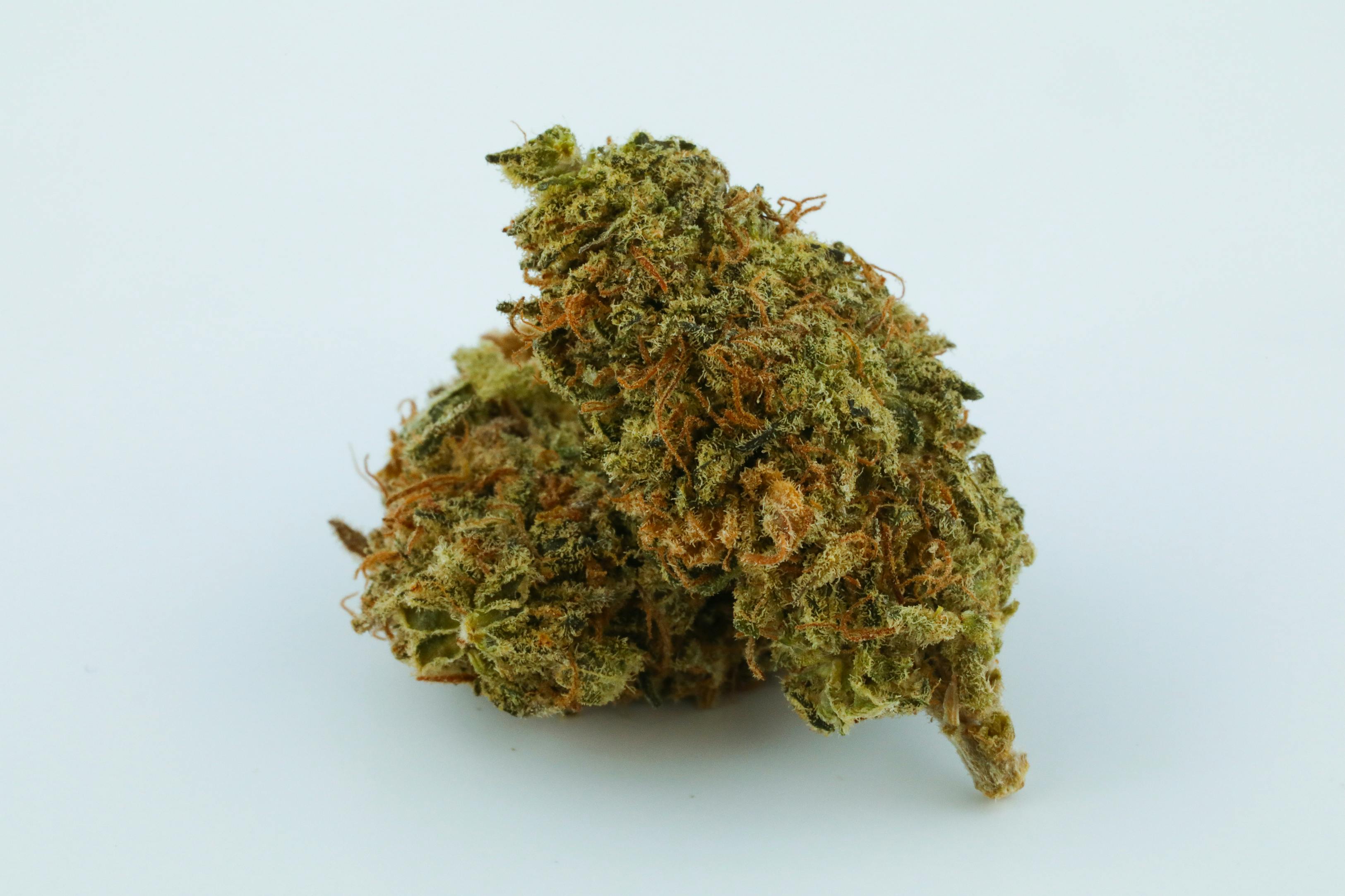 Black Widow Weed; Black Widow Cannabis Strain; Black Widow Hybrid Marijuana Strain