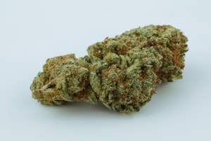 Superglue Marijuana Strain
