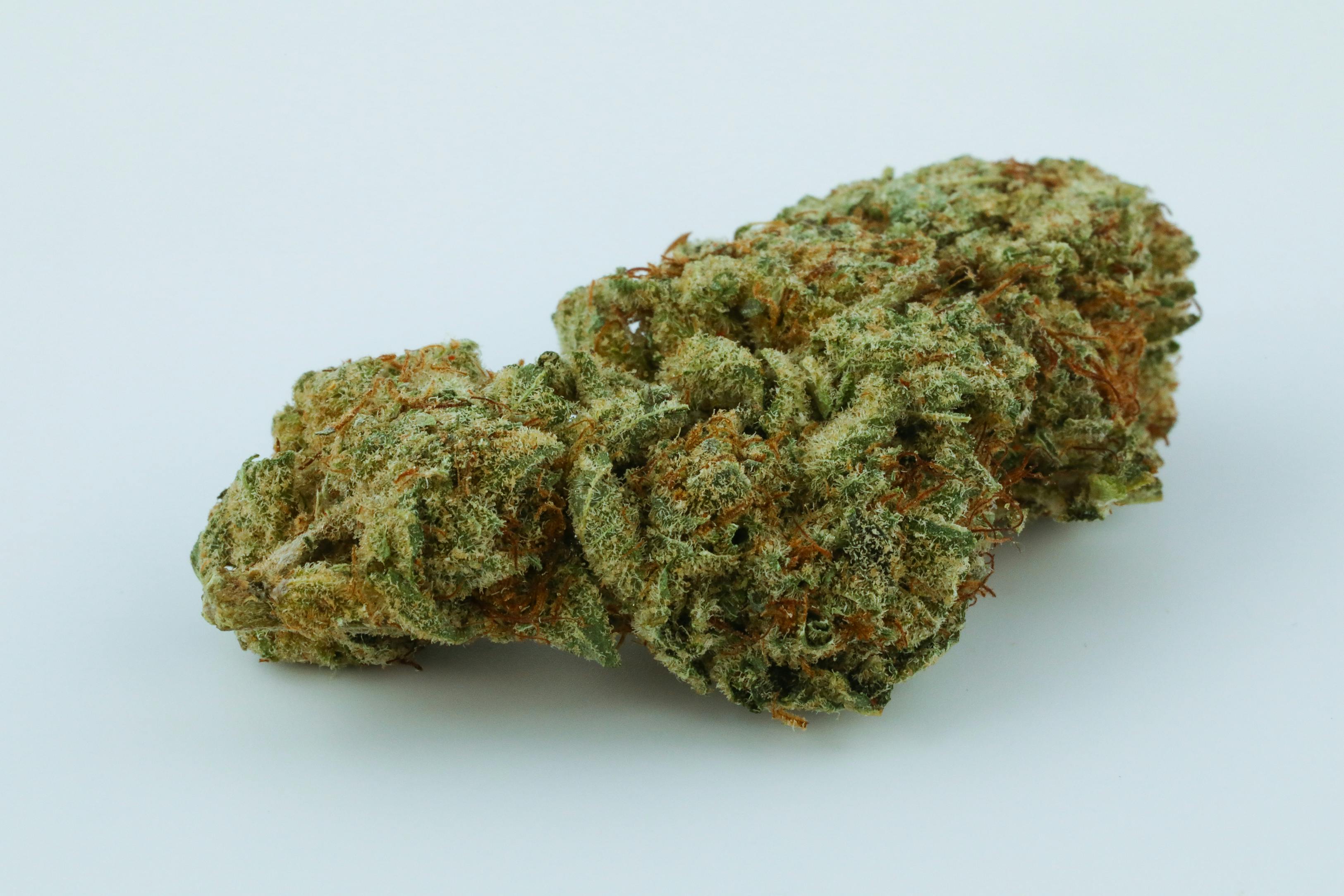 GG1 Weed; GG1 Cannabis Strain; GG1 Hybrid Marijuana Strain