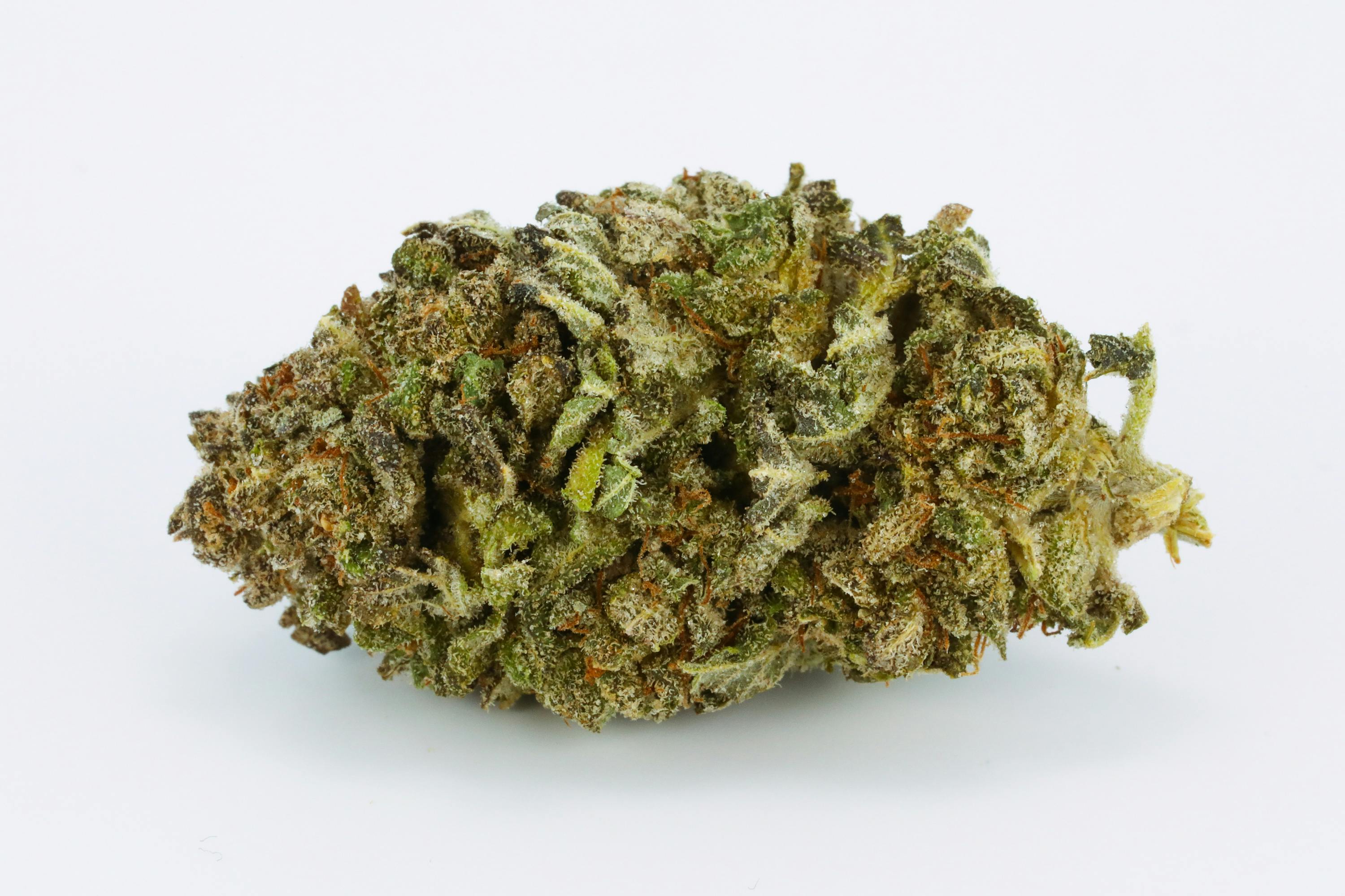 Blue Viper Weed; Blue Viper Cannabis Strain' Blue Viper Hybrid Marijuana Strain