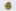 Hempstar Weed; Hempstar Cannabis Strain; Hempstar Hybrid Marijuana Strain