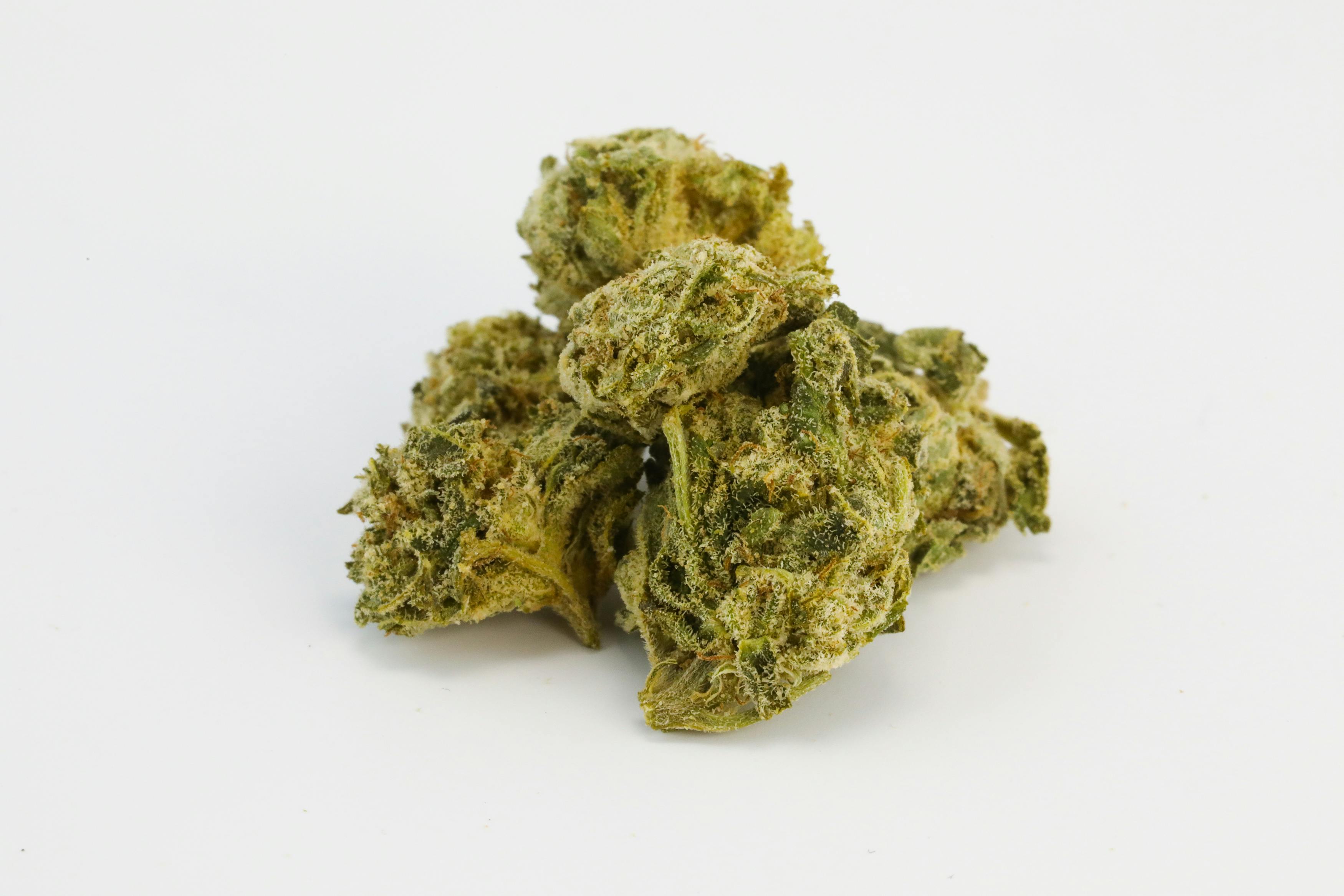 Blue God Strain of Marijuana | Weed | Cannabis | Herb