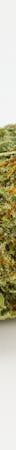 Kushadelic Weed; Kushadelic Cannabis Strain; Kushadelic Indica Marijuana Strain