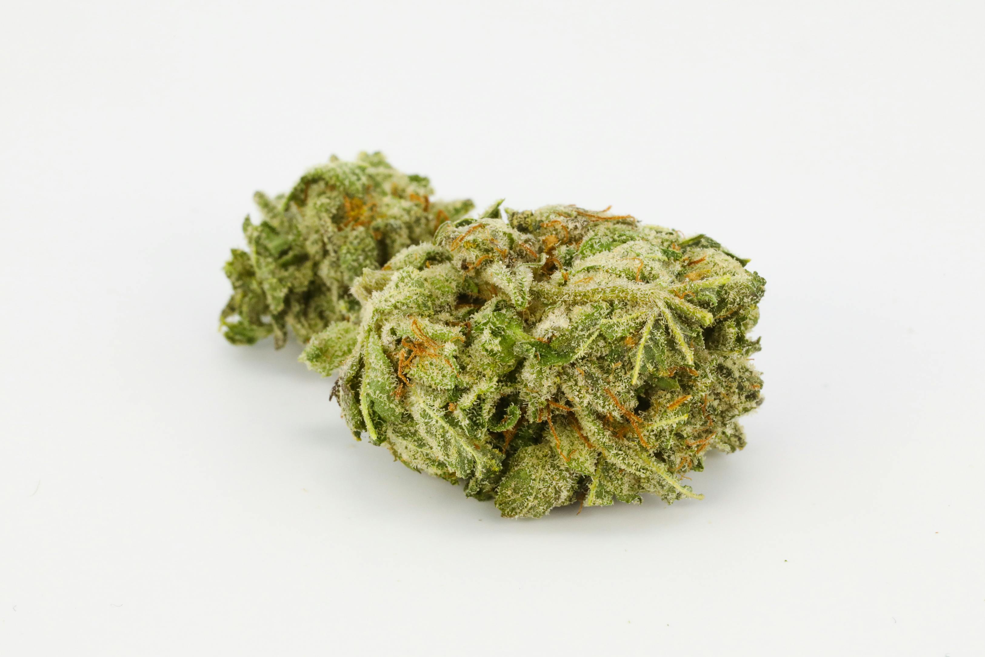 Purple Hindu Kush Weed; Purple Hindu Kush Cannabis Strain; Purple Hindu Kush Indica Marijuana Strain