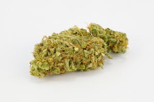 Enigma Marijuana Strain