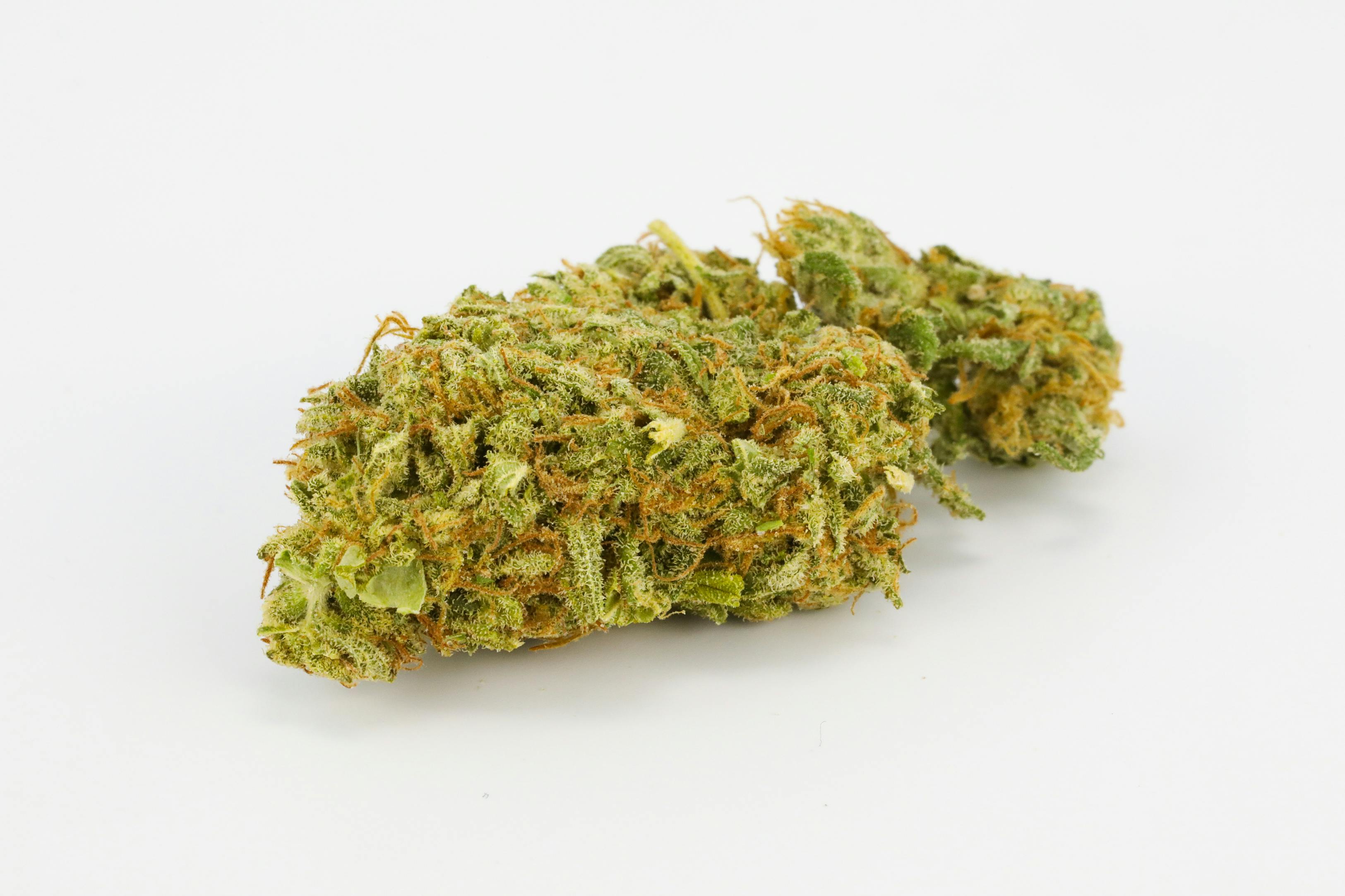 Enigma Weed; Enigma Cannabis Strain; Enigma Indica Marijuana Strain