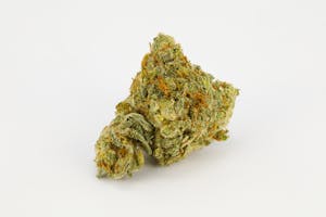 Green Queen Marijuana Strain