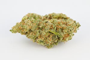 Dutch Kush Marijuana Strain