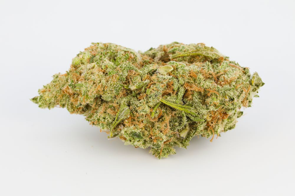 Dutch Kush Strain of Marijuana Weed Cannabis Herb
