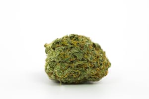 AK-48 Marijuana Strain