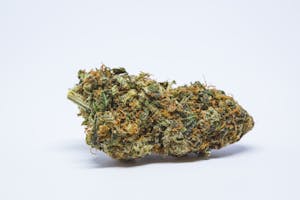 Cannalope Haze Marijuana Strain