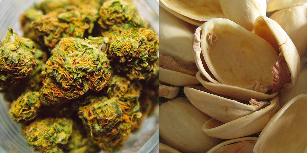 Woman Faces Felony Charges After Cops Mistake Pistachio Shells for Weed