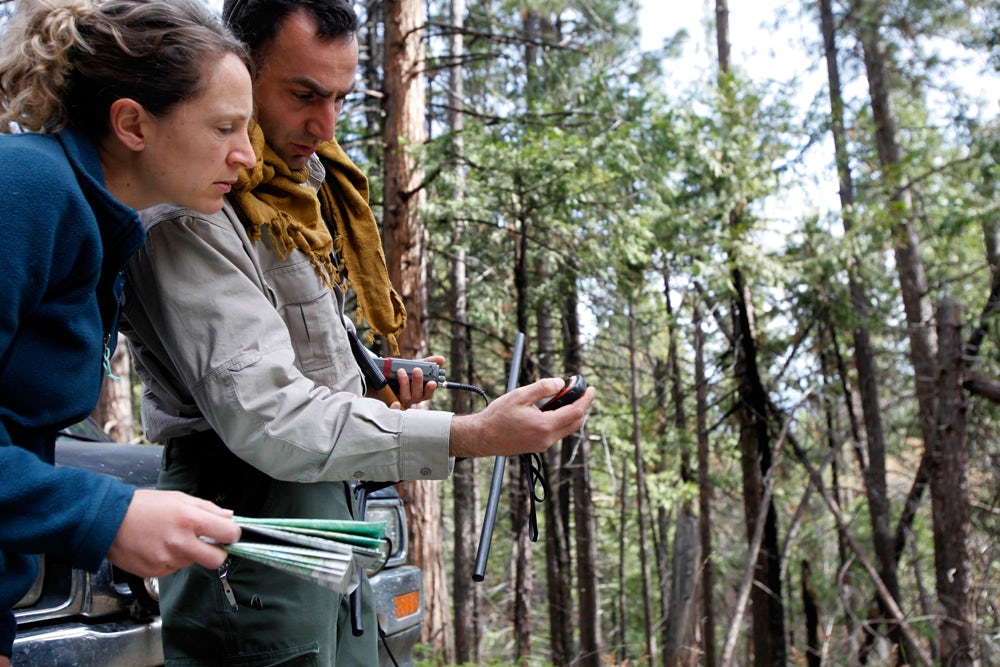 NorthernSpottedOwl4 5th grader accidentally hands out gummy edibles at school