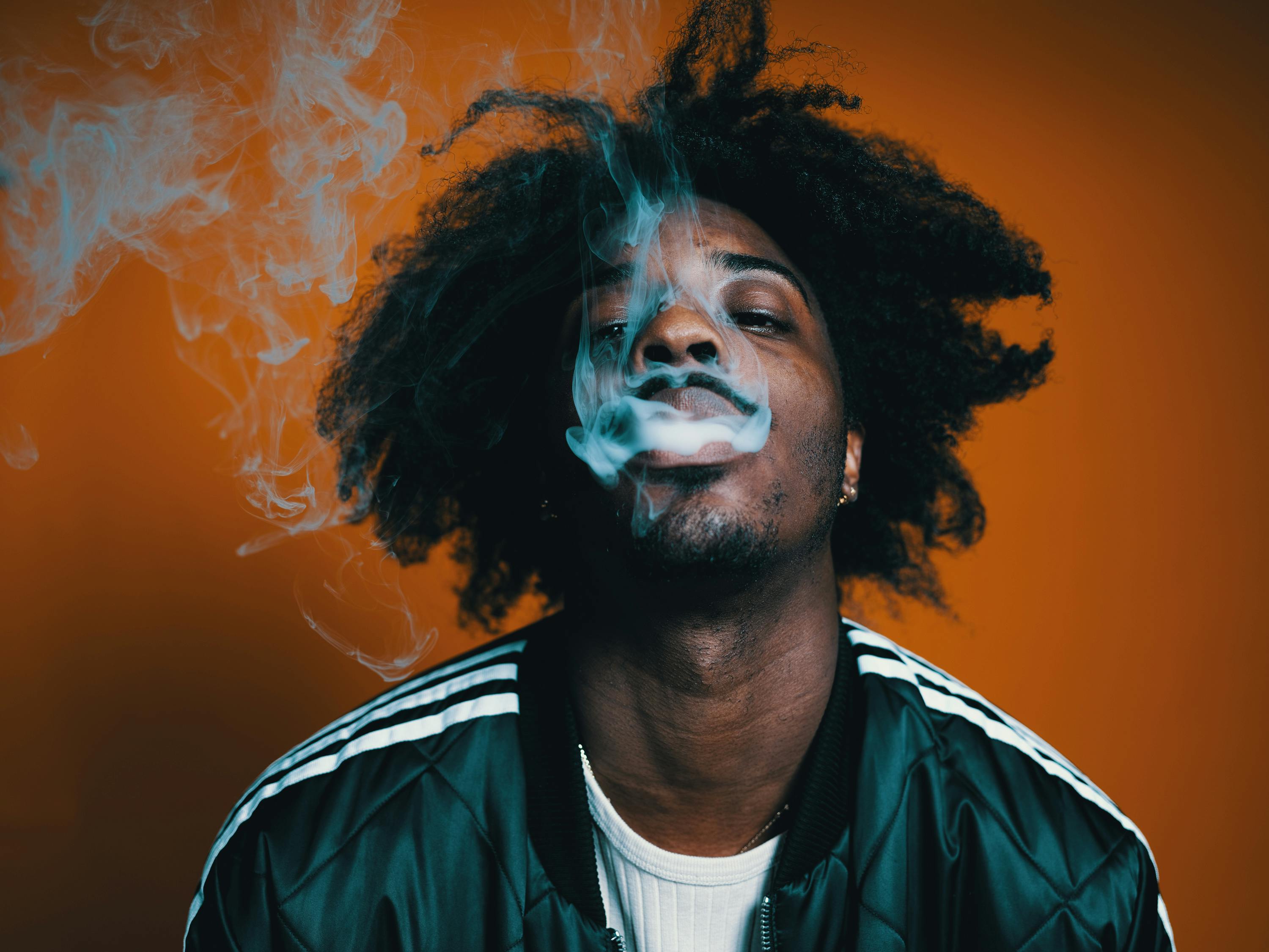 SEAN LEON FInal Photo 1 of 1 These are the states most likely to legalize at the polls in 2018