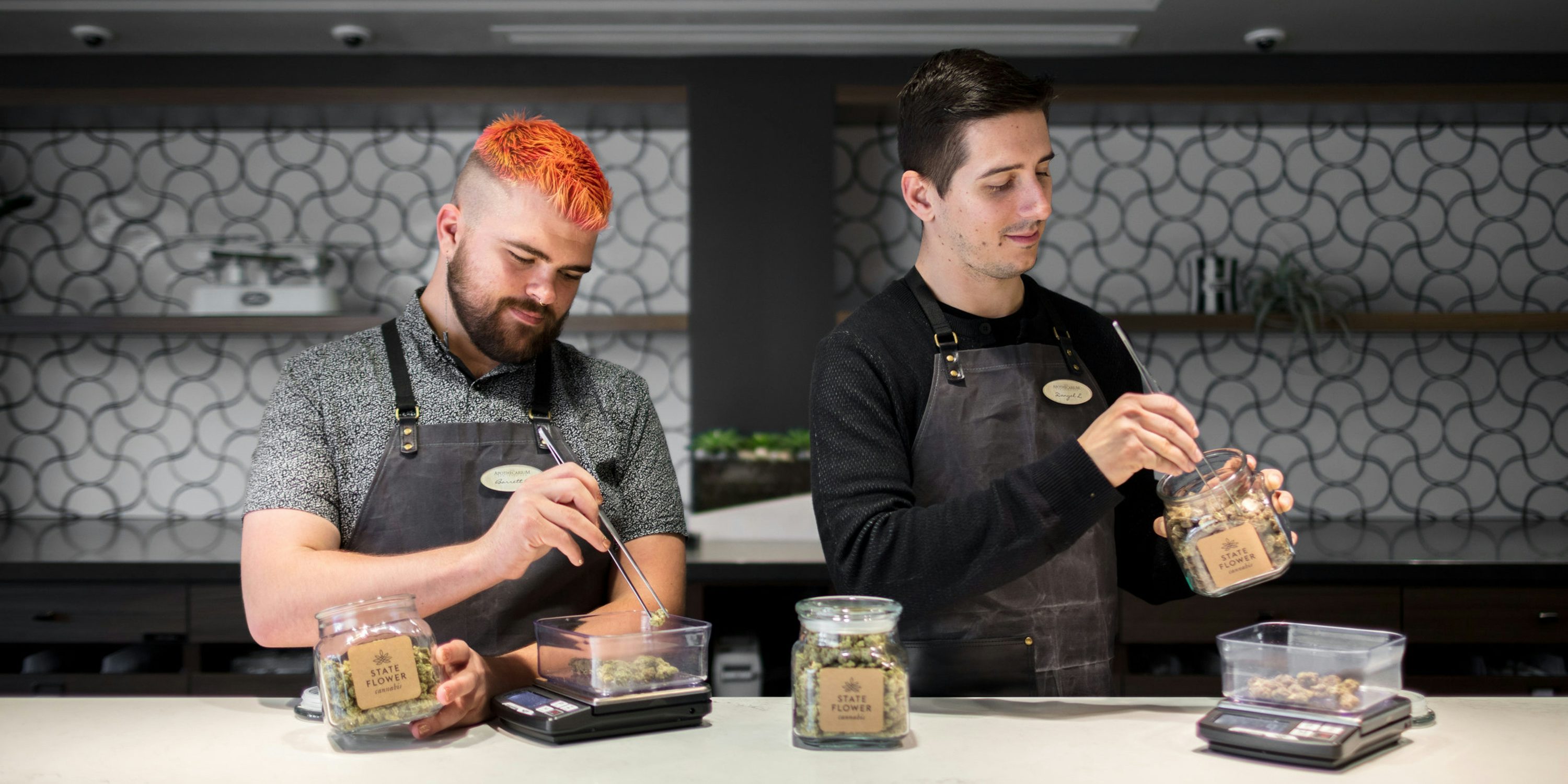 StaffatTheApothecariumDispensaries These are the states most likely to legalize at the polls in 2018