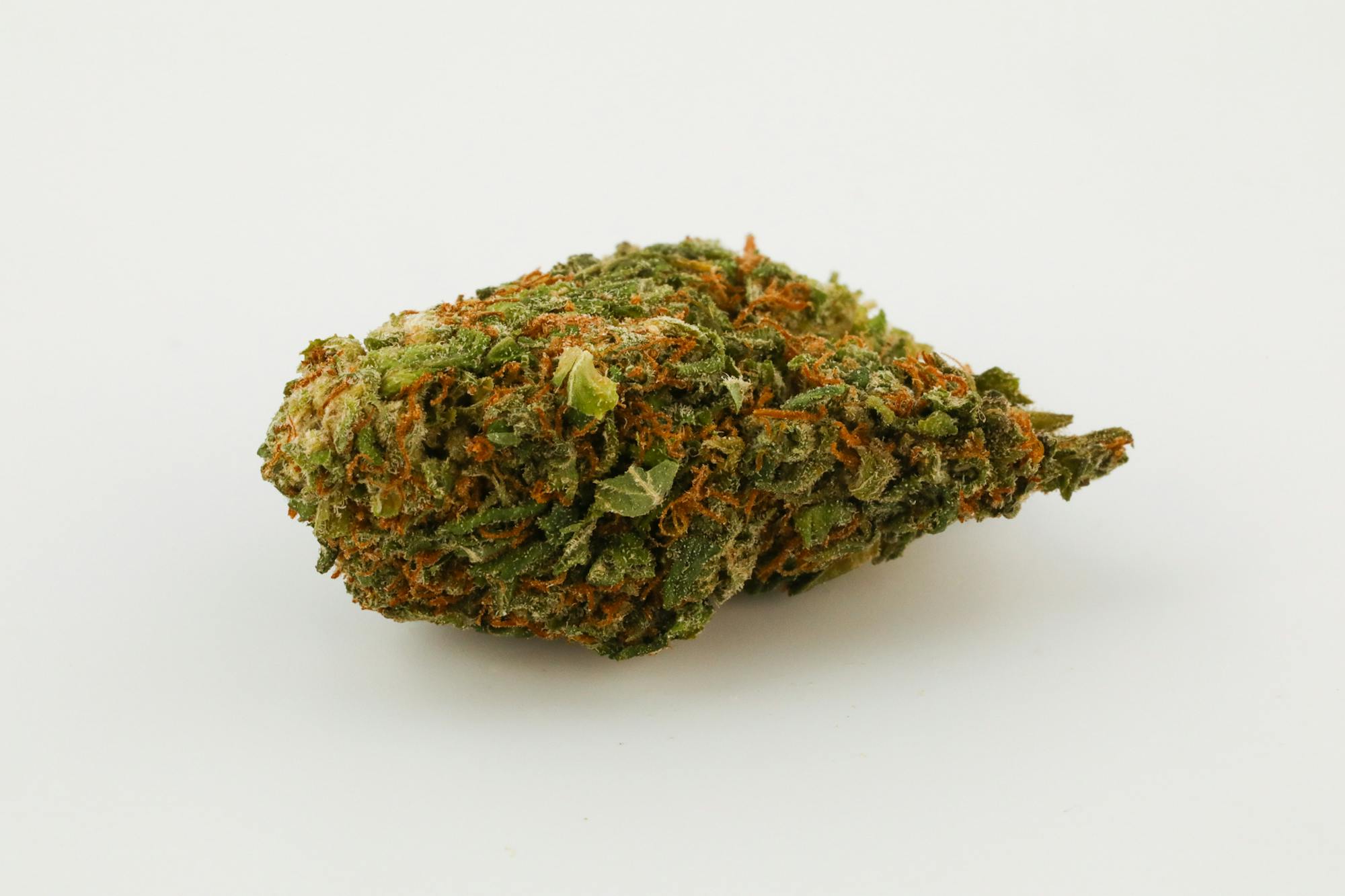 Confidential Cheese Strain of Marijuana | Weed | Cannabis | Herb | Herb