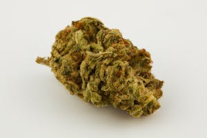 Sour Grape Marijuana Strain