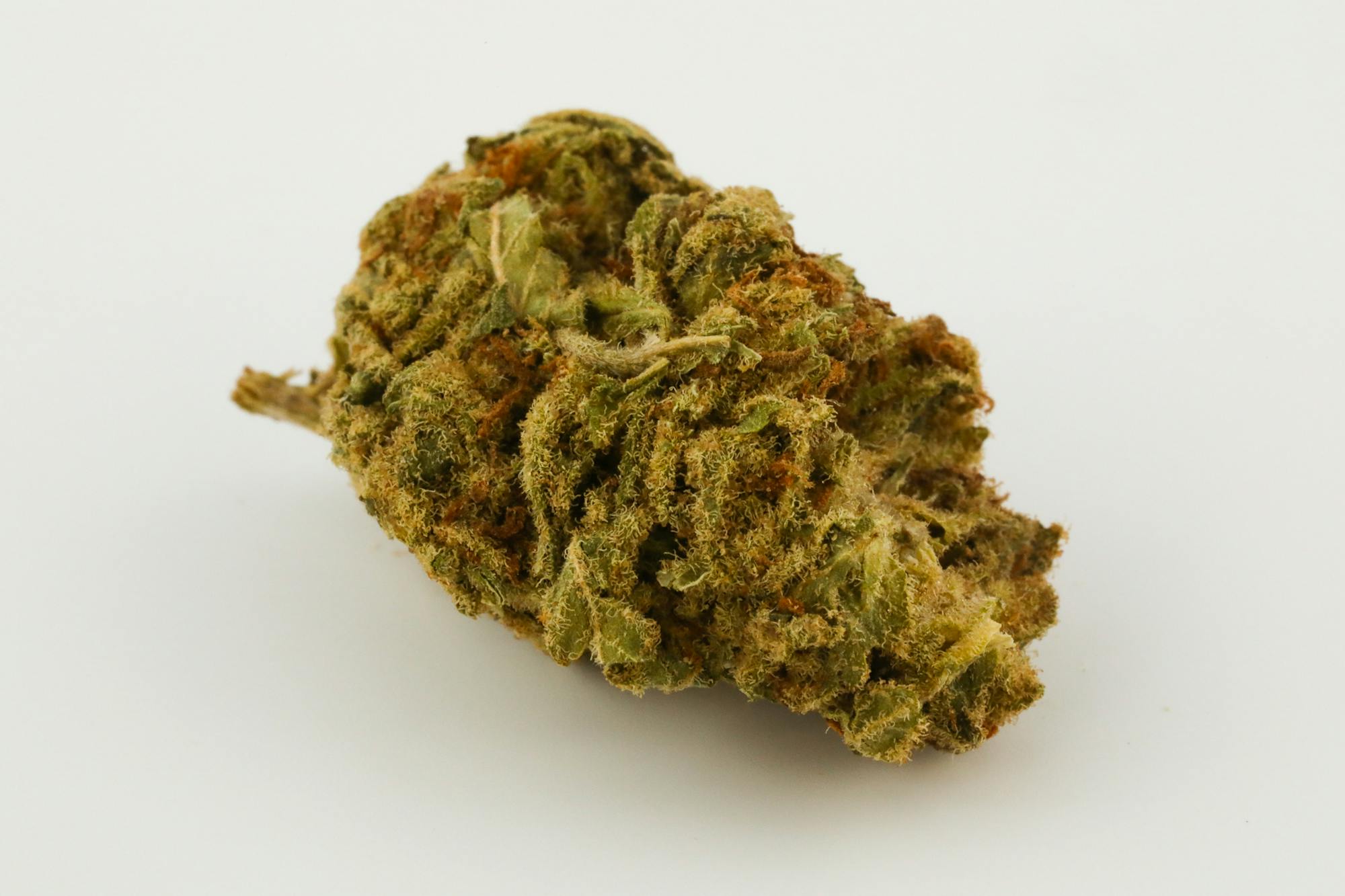 Sour Grape Strain of Marijuana Weed Cannabis Herb Herb