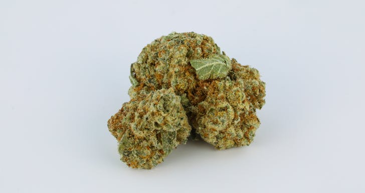 Champagne Kush Weed; Champagne Kush Cannabis Strain; Champagne Kush Hybrid Marijuana Strain