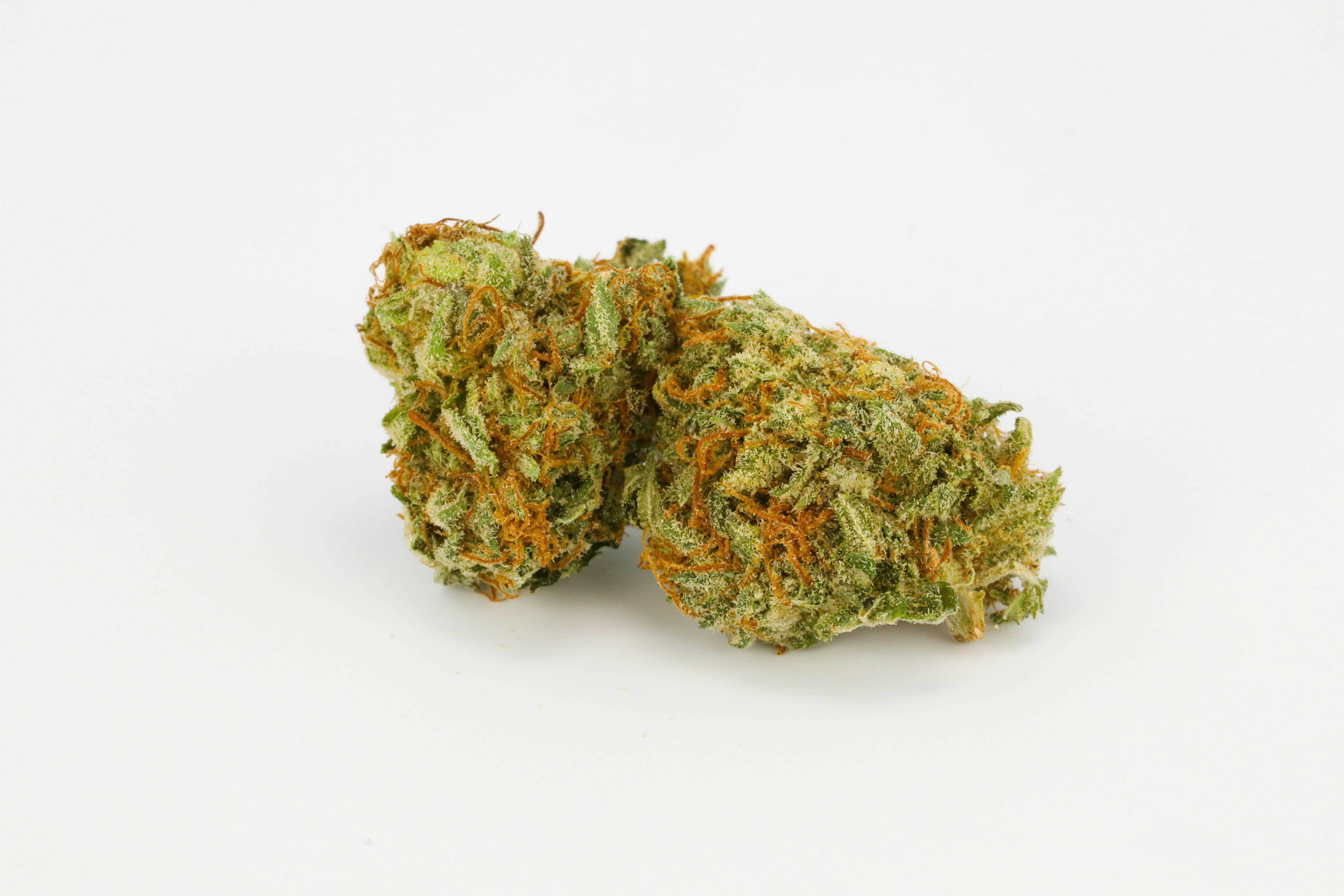 Master Og Weed; Master OG Cannabis Strain; Master OG Indica Marijuana Strain