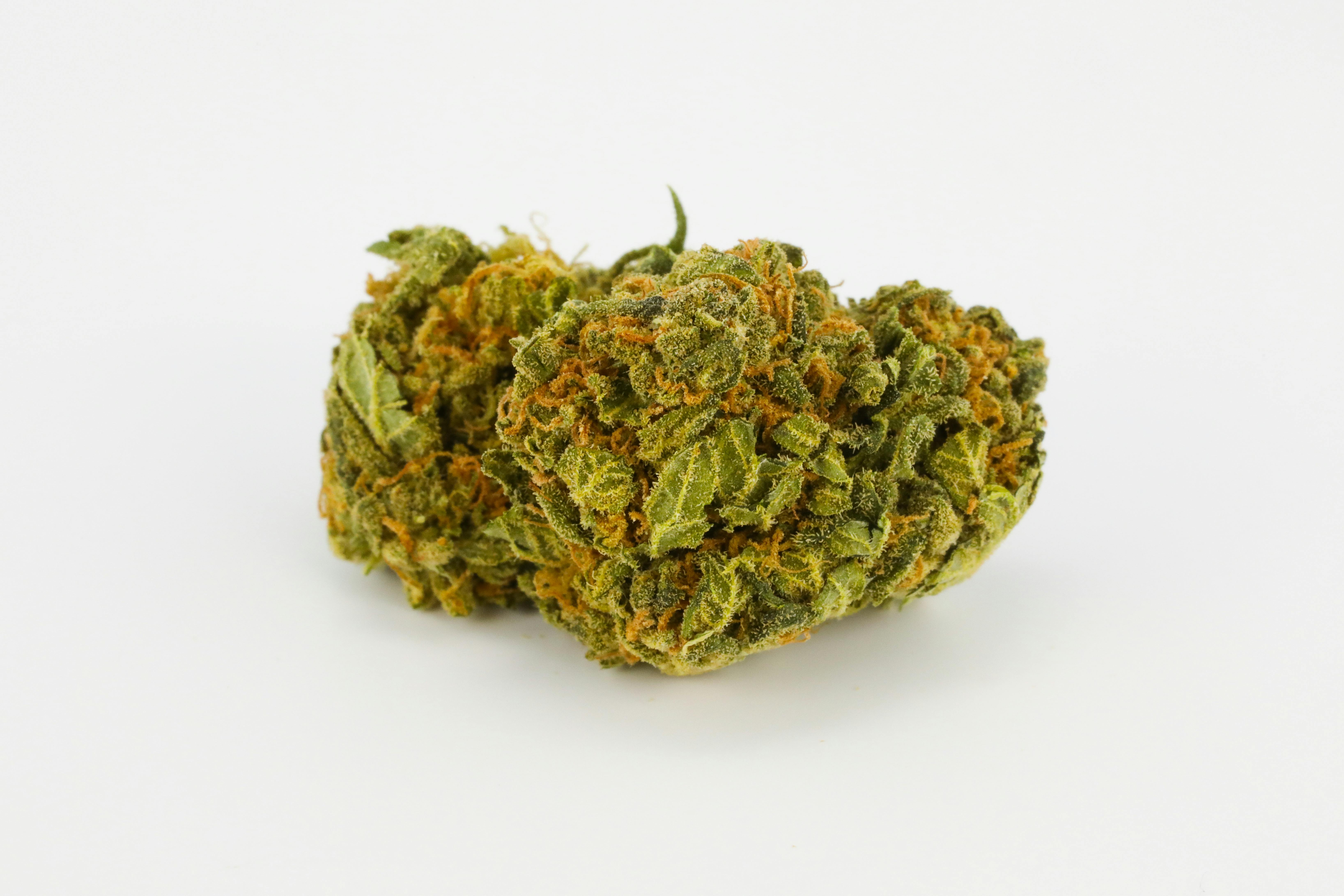 Mazar I Sharif Weed; Mazar I Sharif Cannabis Strain; Mazar I Sharif Indica Marijuana Strain