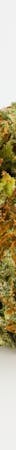 Bianca Weed; Bianca Cannabis Strain; Bianca Hybrid Marijuana Strain