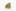 Mother of Berries Weed; Mother of Berries Cannabis Strain; Mother of Berries Indica Marijuana Strain