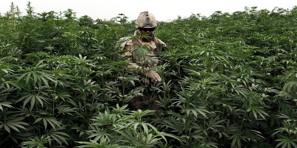 Canadian Soldiers To Be Given "Weed Goggles" To Learn What It's Like To Be High