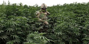 Canadian military spends $170,000 on “weed googles” so soldiers can learn what it’s like to be high