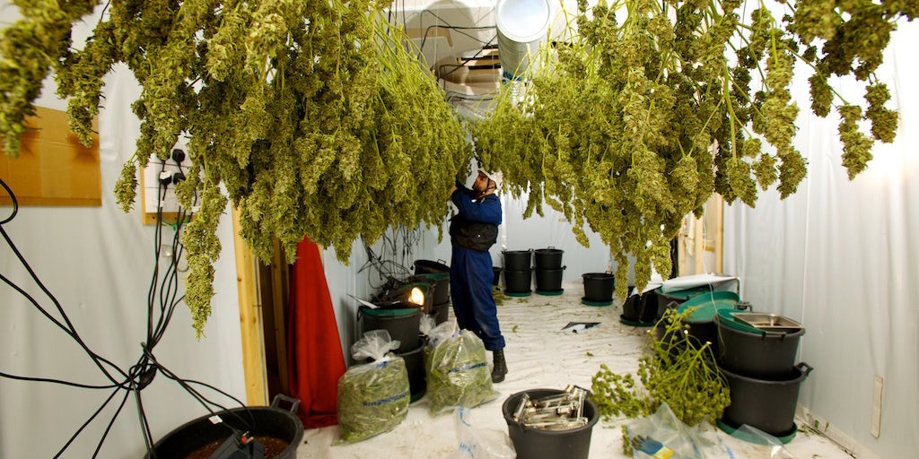 6760726429 f7f5a56af0 b These are the states most likely to legalize at the polls in 2018