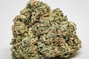 Afghan Skunk Marijuana Strain