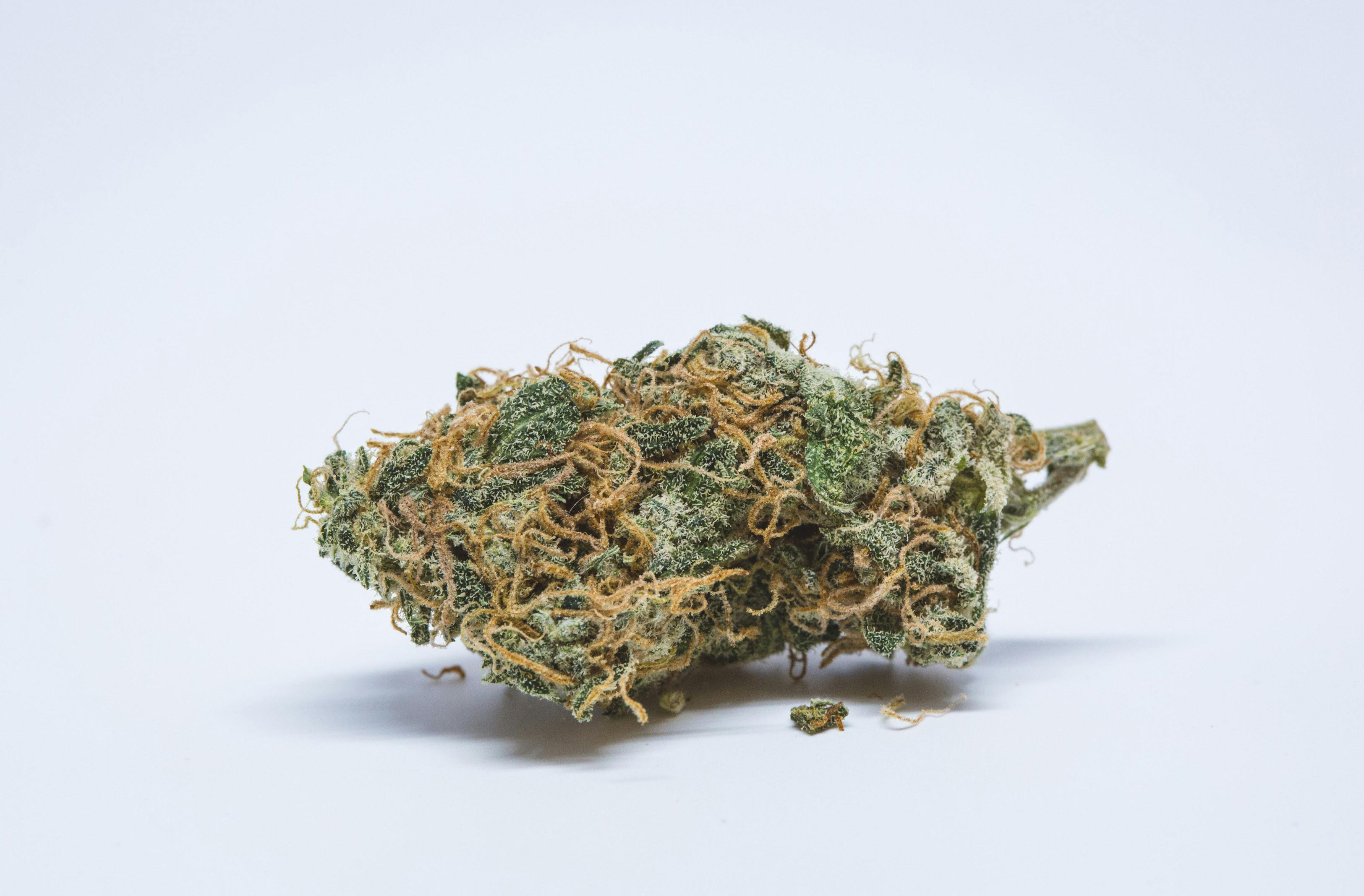 Lemon Pie Weed; Lemon Pie Cannabis Strain; Lemon Pie Sativa Marijuana Strain