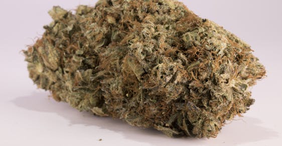 Blue Crack Weed; Blue Crack Cannabis Strain; Blue Crack Hybrid Marijuana Strain